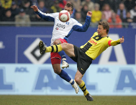 仅提供了基 仅提供了基